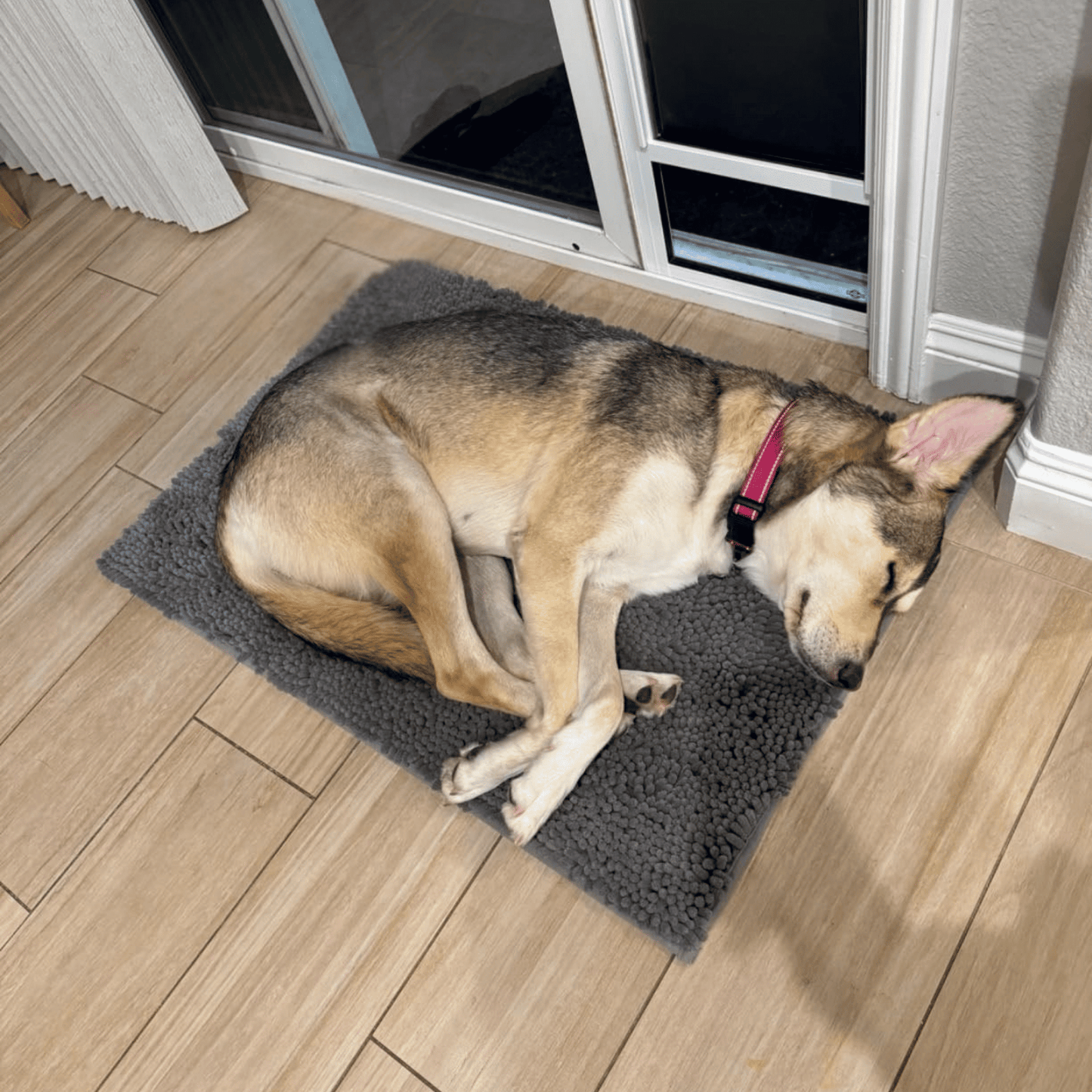 Luneroa Muddy Paw Doormat